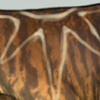 [Body Paint] Born from the sun